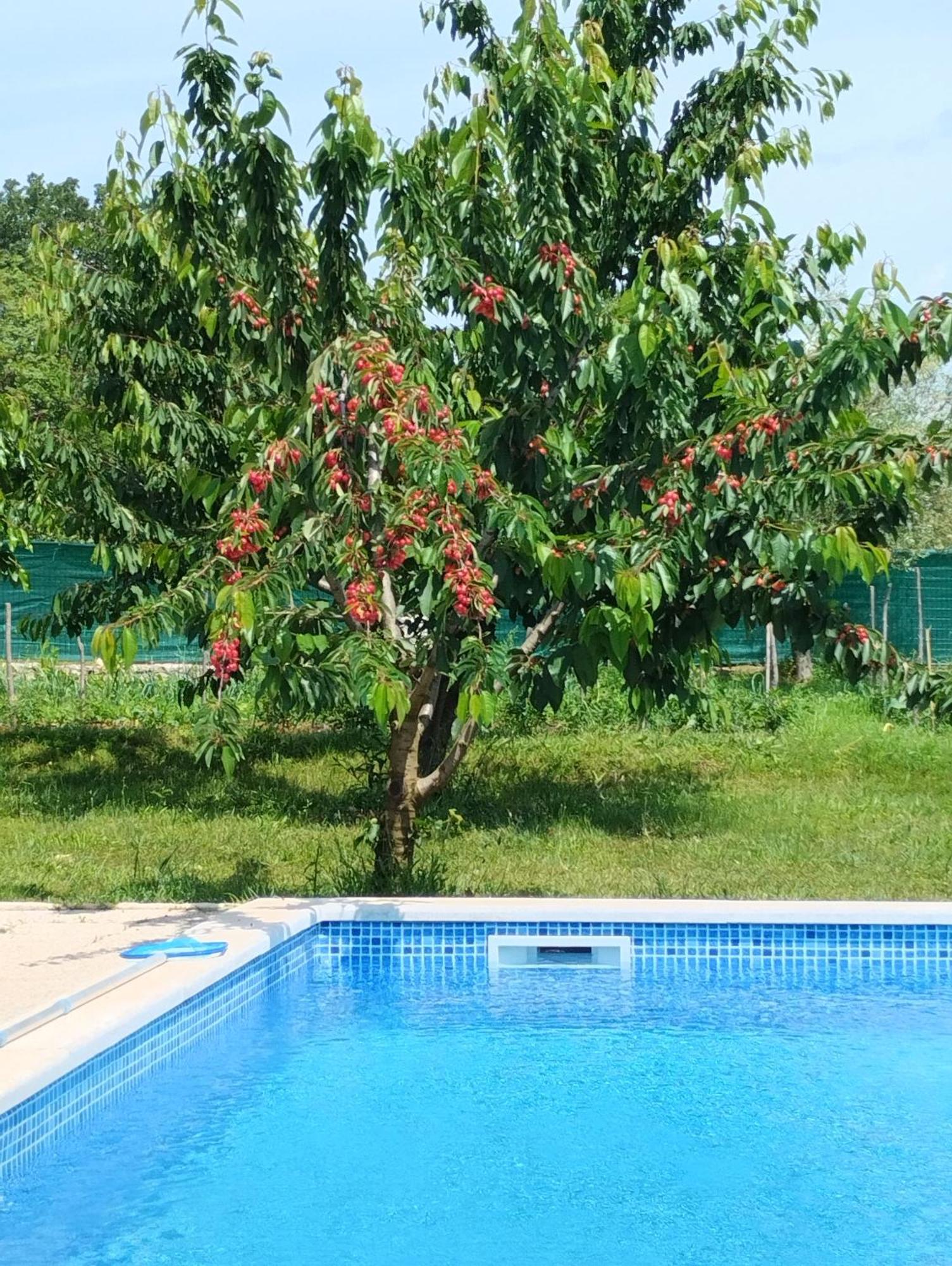 Vila Stanzia Santa Brigida Rovinj Exteriér fotografie